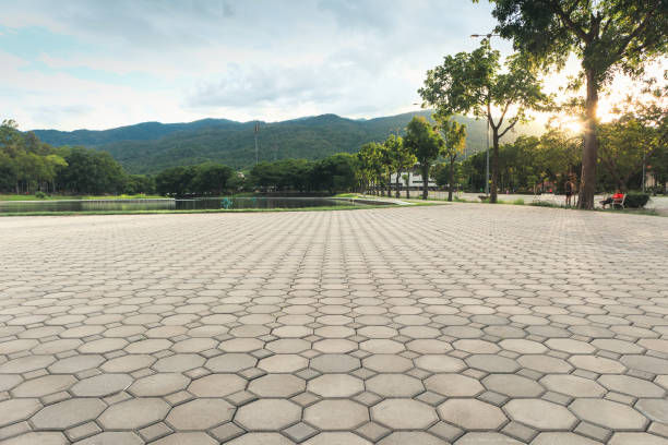 Best Residential Paver Driveway  in Union City, MI